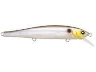 Matte Gizzard Shad