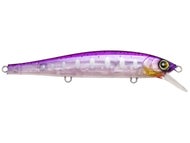Pearl Purple Trout