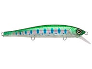 Pearl Rainbow Trout