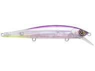 Sunset Shad