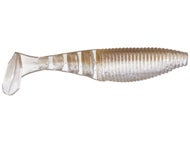Tennessee Shad
