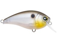 Matte Gizzard Shad