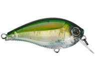 Real Baby Bass
