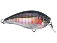 Real Bluegill