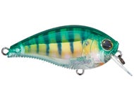 Real Perch