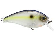 Sexy Shad