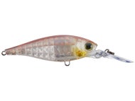 Ghost Smelt