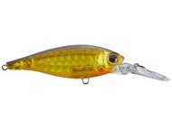 Prism Gold Black