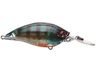 Prism Bluegill