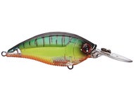 Prism Fire Tiger