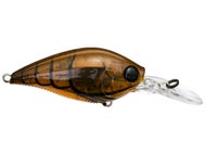 Brown Crawfish