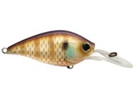 Natural Bluegill