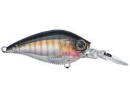 Real Bluegill