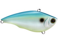 Citrus Shad