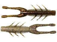 Drew's Craw