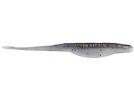 Baitfish