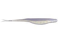 Rainbow Shad