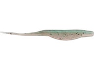 Rainbow Trout