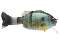 Leurre Flottant Imakatsu Gillroid Minnie 821 - Réalisme 3D - Pêche Freshwater
