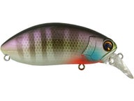 Ima Roumba Crankbait - Tackle Warehouse