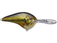 Rapala DT14 Tauchköder Für Süßwasser – Wählt Produktbild-Vorschau 11