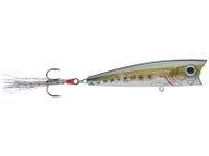 USA Importation Rebel Pop-R Légendaire Surface Popper Leurre, 5 Sizes 24 Coloris