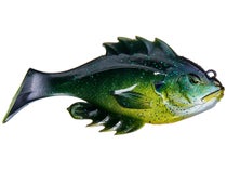  Catch Co 10,000 Fish Head Hunter 3.25 Soft Swimbait (Carbon  Crappie) : Sports & Outdoors