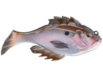 Closer Look at the 10,000 Fish Head Hunter Lipless Weedless Bass