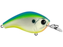 13 Fishing Jabber Jaw Hybrid Squarebill Review - Wired2Fish