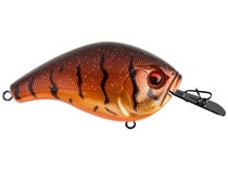 13 Fishing Jabber Jaw Hybrid Squarebill Review - Wired2Fish