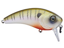 6th Sense Fishing - The Speed Wake allows you to cover water fast and draw  fish out of shallow cover from long distances. Like the rest of our hard  baits, this lure