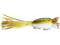 Arbogast Hula Popper Fishing Lure - Frog/White Belly - White Skirt - 2 1/4  in