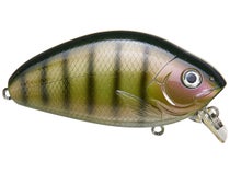 Bigbait Awaken Wakebait