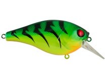  Berkley SquareBull Fishing Lure, Spring Craw, 3/8 oz, 2 3/8in   6cm Crankbaits, Floating Bait Features Maximum Flash and Tail Wag for  Erratic Hunting Action : Sports & Outdoors