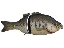 Baitsanity Explorer Gill Swimbait for Sale in San Diego, CA - OfferUp