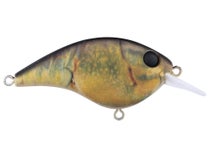 Berkley BHBPB5.5 Squarebull Crankbait Lure - TackleDirect