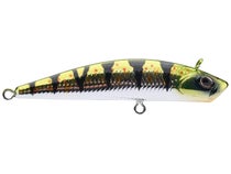 Berkley Finisher 5 / Gold Chrome