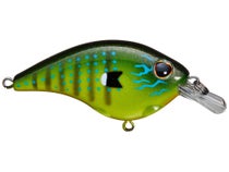 Berkley Clickin' Frittside 5 Biggun Crankbait | Tackle Warehouse