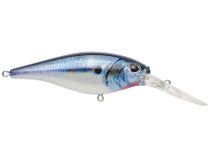  Berkley Flicker Shad Fishing Lure, HD Smelt, 5/16 oz, 2 3/4in   7cm Crankbaits, Size, Profile and Dive Depth Imitates Real Shad, Equipped  with Fusion19 Hook : Sports & Outdoors