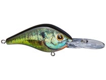 Berkley Dredger Gilly Fishing Bait, Multi, 3 1/4  8cm / 25.5 (1 1/8 oz) :  : Home & Kitchen