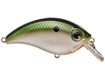 Bill Lewis Gnat Tiny Squarebill Crank 1/8oz | Tackle Warehouse
