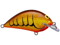 Bagley Pro Sunny B Crankbait Review - Wired2Fish