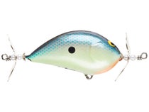 Buy Bagley Bang O Lure #5 Spin Tail Black Stripes on Silver Foil