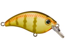 Bill Lewis ATV Squarebill 1.0 Crankbait