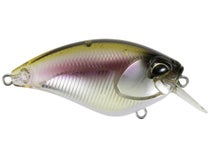 REALIS APEX CRANK 66 SQUARED – Tackle Terminal