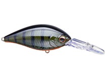 Evergreen CR 10 Crank Green Pumpkin Gill