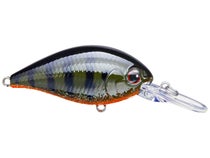 Evergreen CR 08 Crank Green Pumpkin Gill