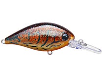 Evergreen CR 08 Crankbaits 