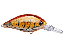 Evergreen CR 08 Crank Rusty Crawdad