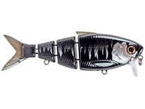 Fishlab BBZ Bio Cranking Shad 4"